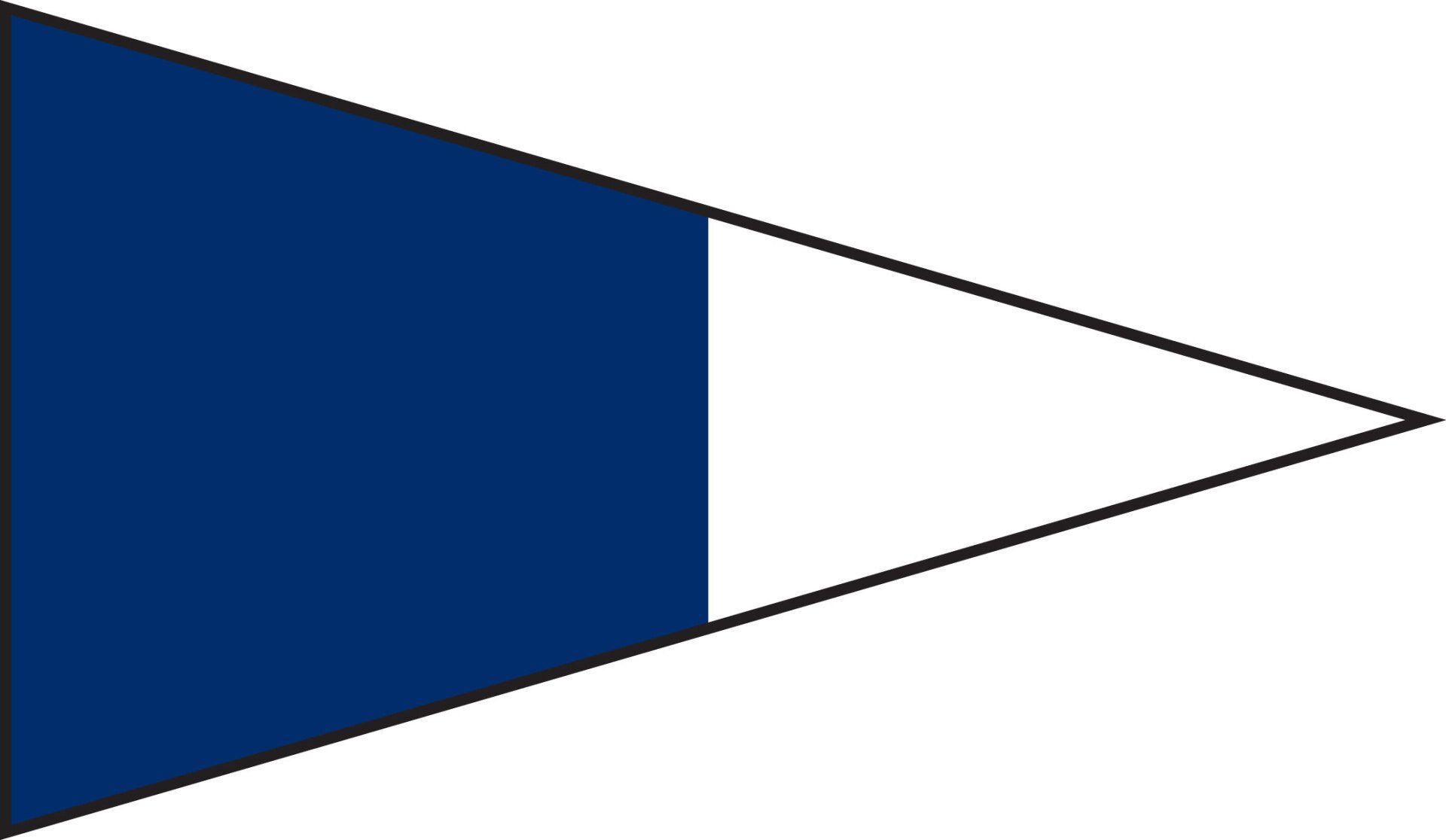 A blue and white triangle on a white background.