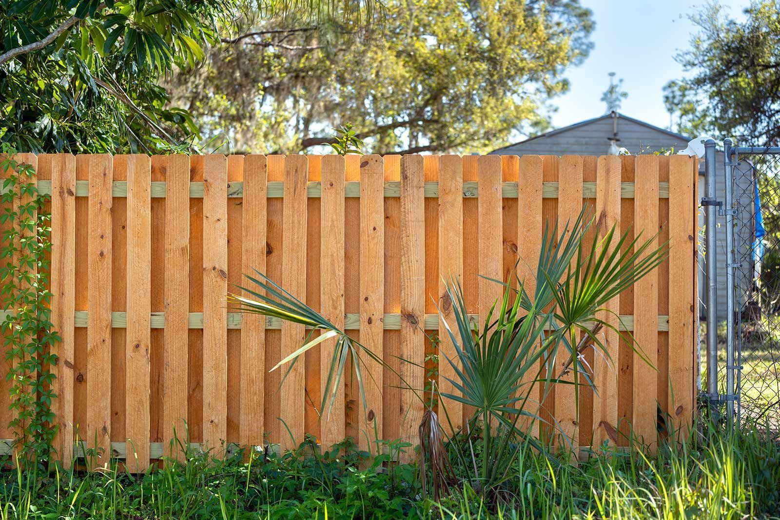 Wooden fence in grassy backyard