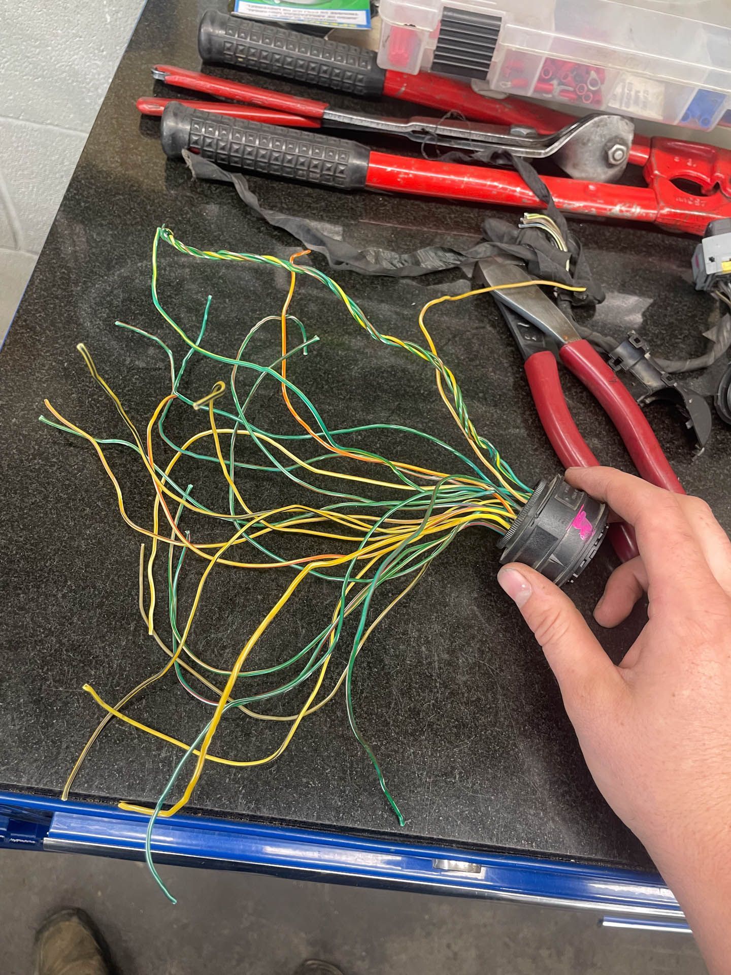 A person is holding a bunch of wires in their hand.