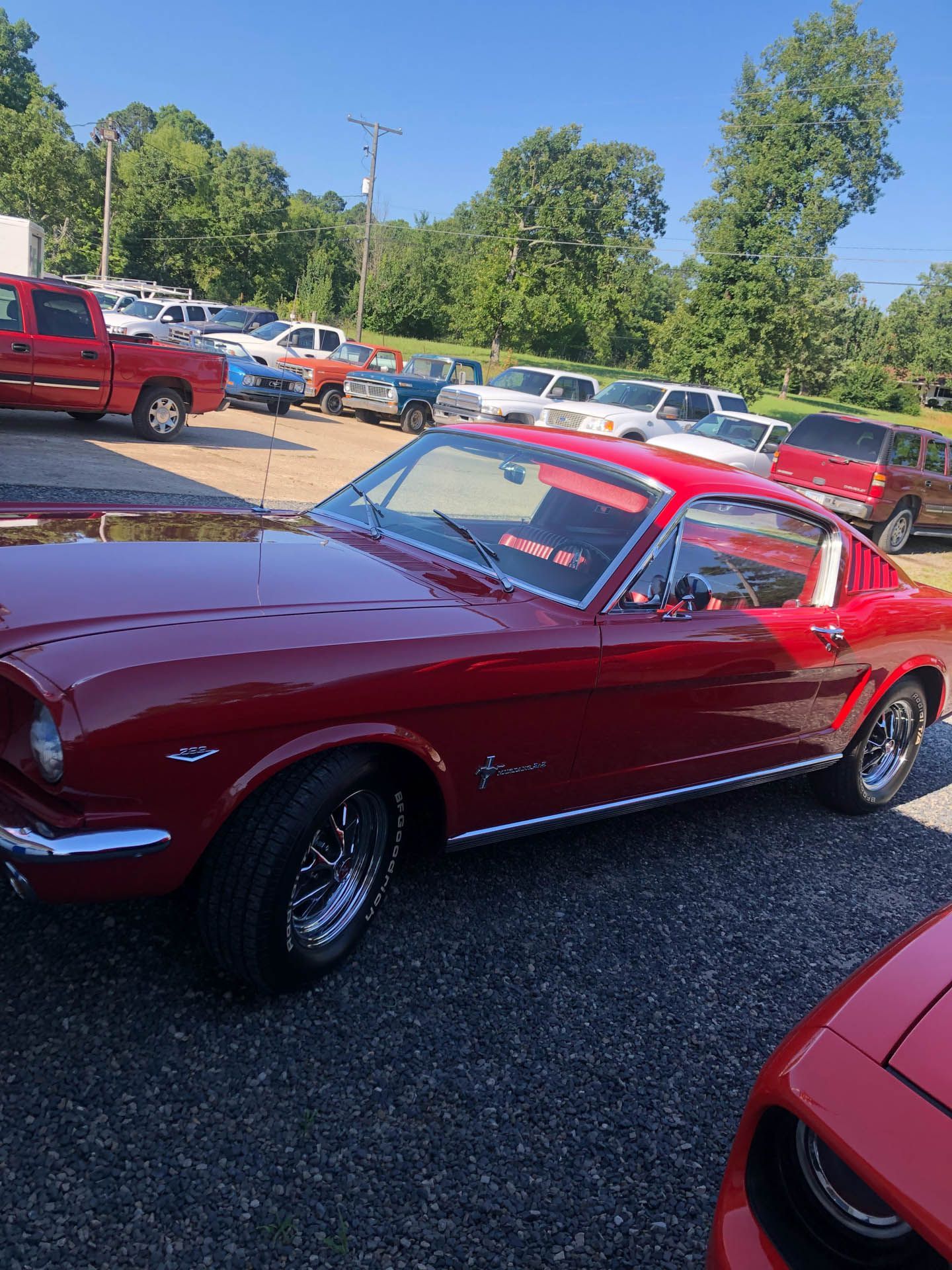 A red mustang is parked in a parking lot.