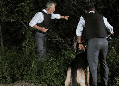Two police officers standing next to a german shepherd dog