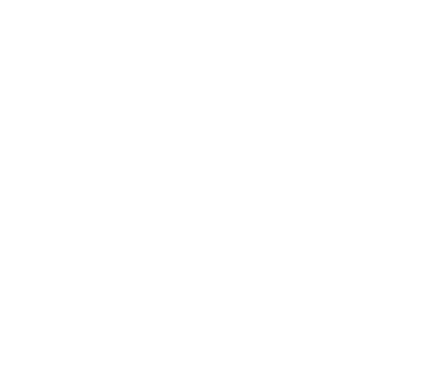 discovery logistics logo footer