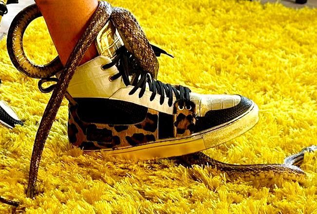 Redlight  Snake Bite