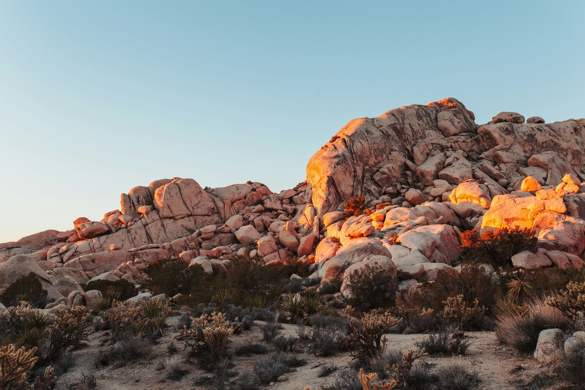 Rocky desert landscape lit by golden sunlight.