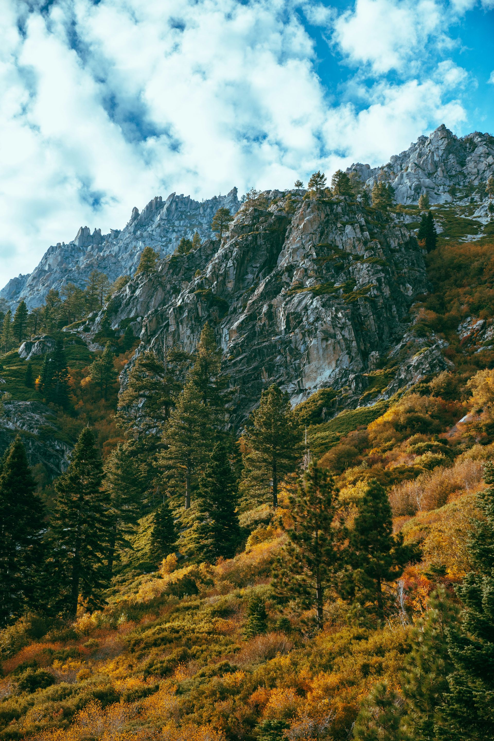 Mountain slope with green and yellow trees under a cloudy blue sky.