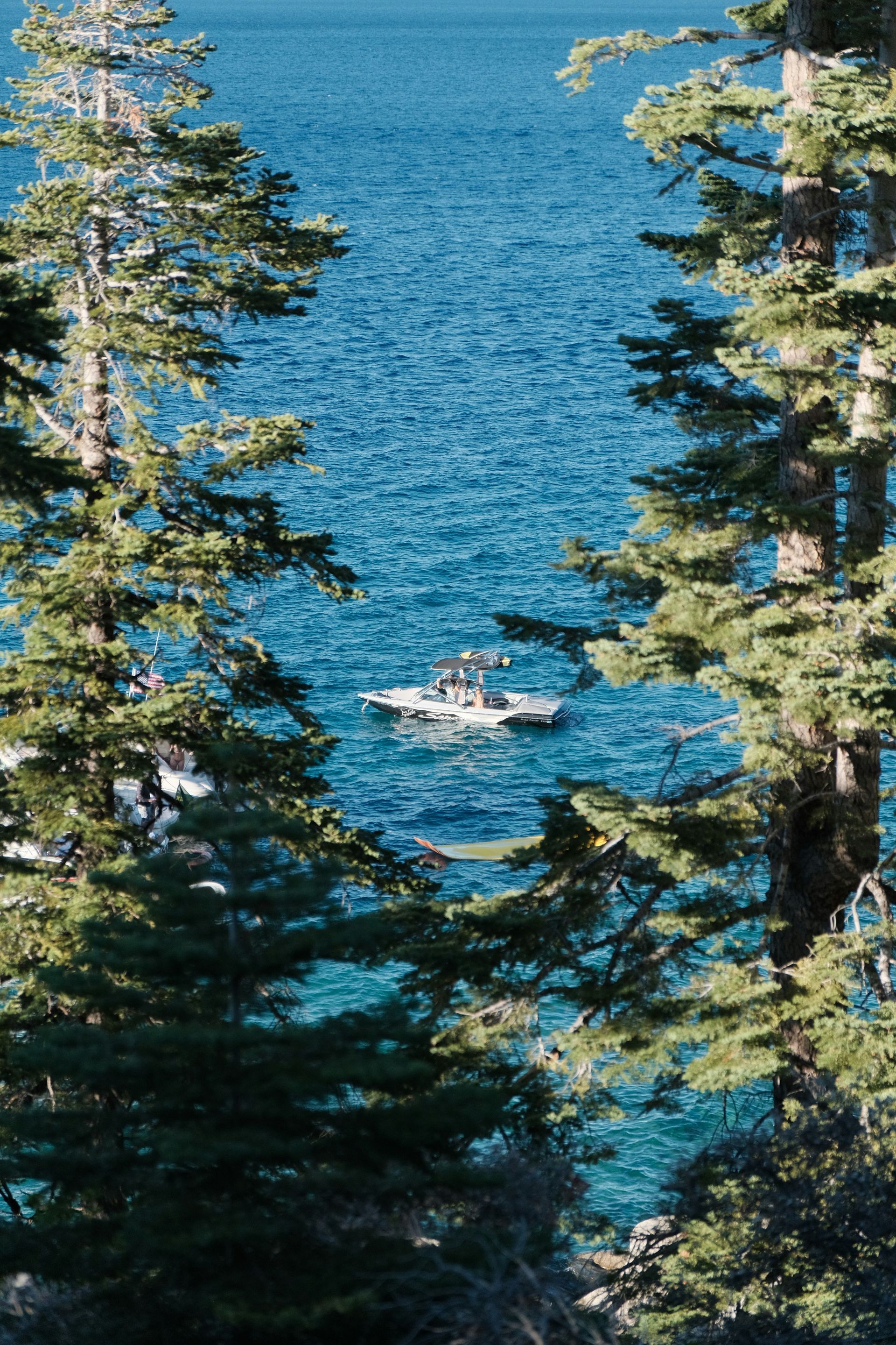 Boat on turquoise water, framed by tall green pine trees.