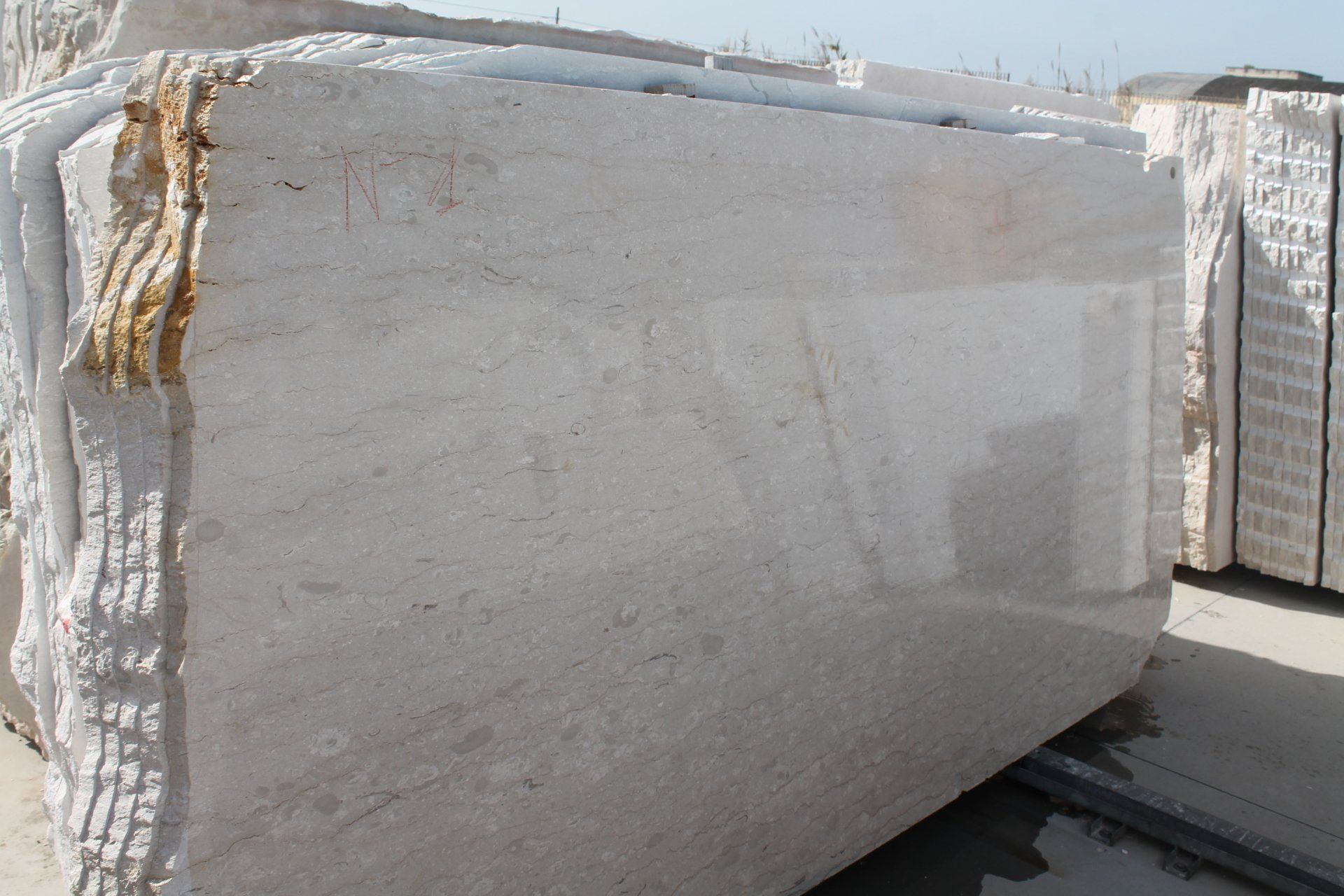 Lastre Perlato Coreno