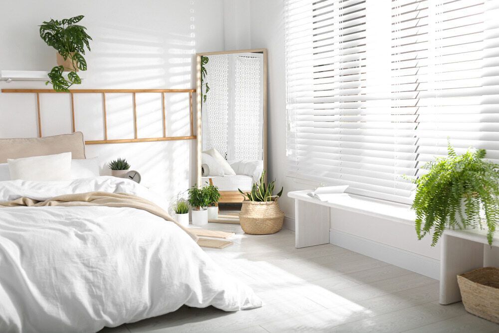 Bedroom With A Bed, Mirror, Blinds, And Plants — SG Glass & Aluminium in Wagga Wagga, NSW