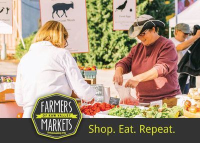 postcard design by amr creative