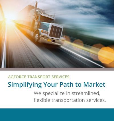 sell sheet by amr creative