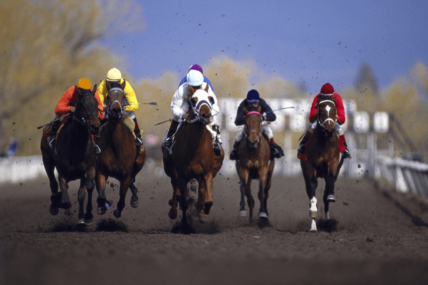 Race day coach hire