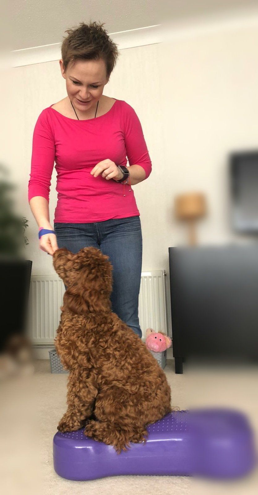 Curly dog taking treats off a dog trainer.