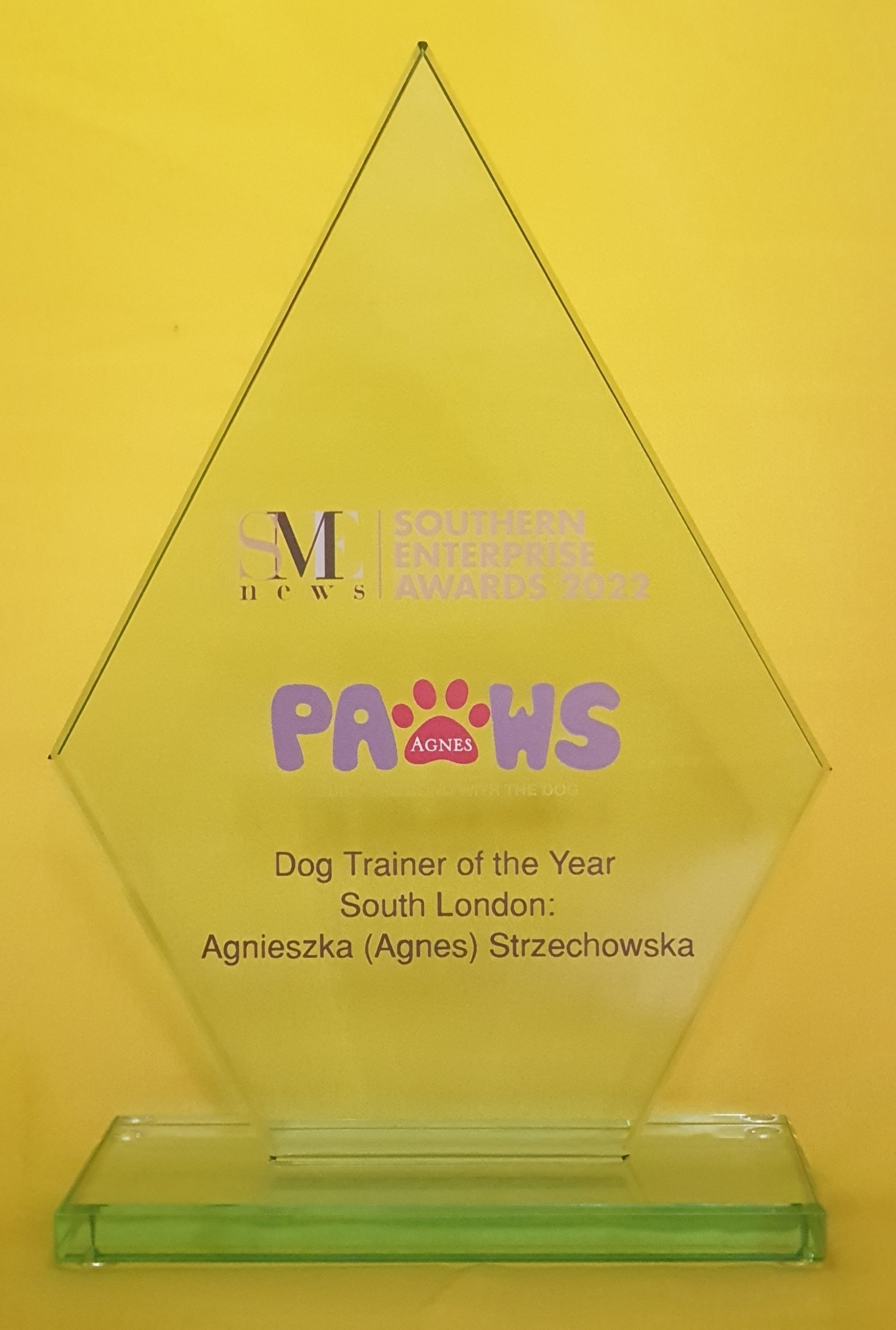 Southern Enterprise Award Trophy for Dog Trainer of the Year South London
