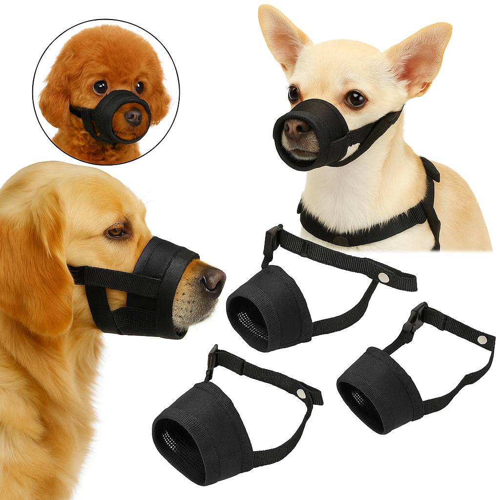 Dog with muzzle on