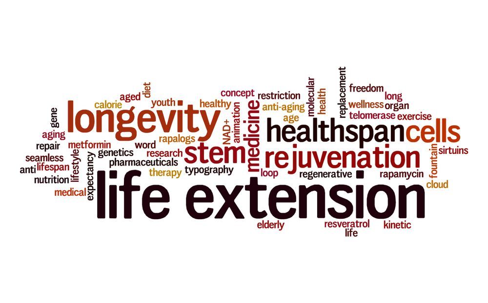 The word life extension is written in a cloud of words on a white background.