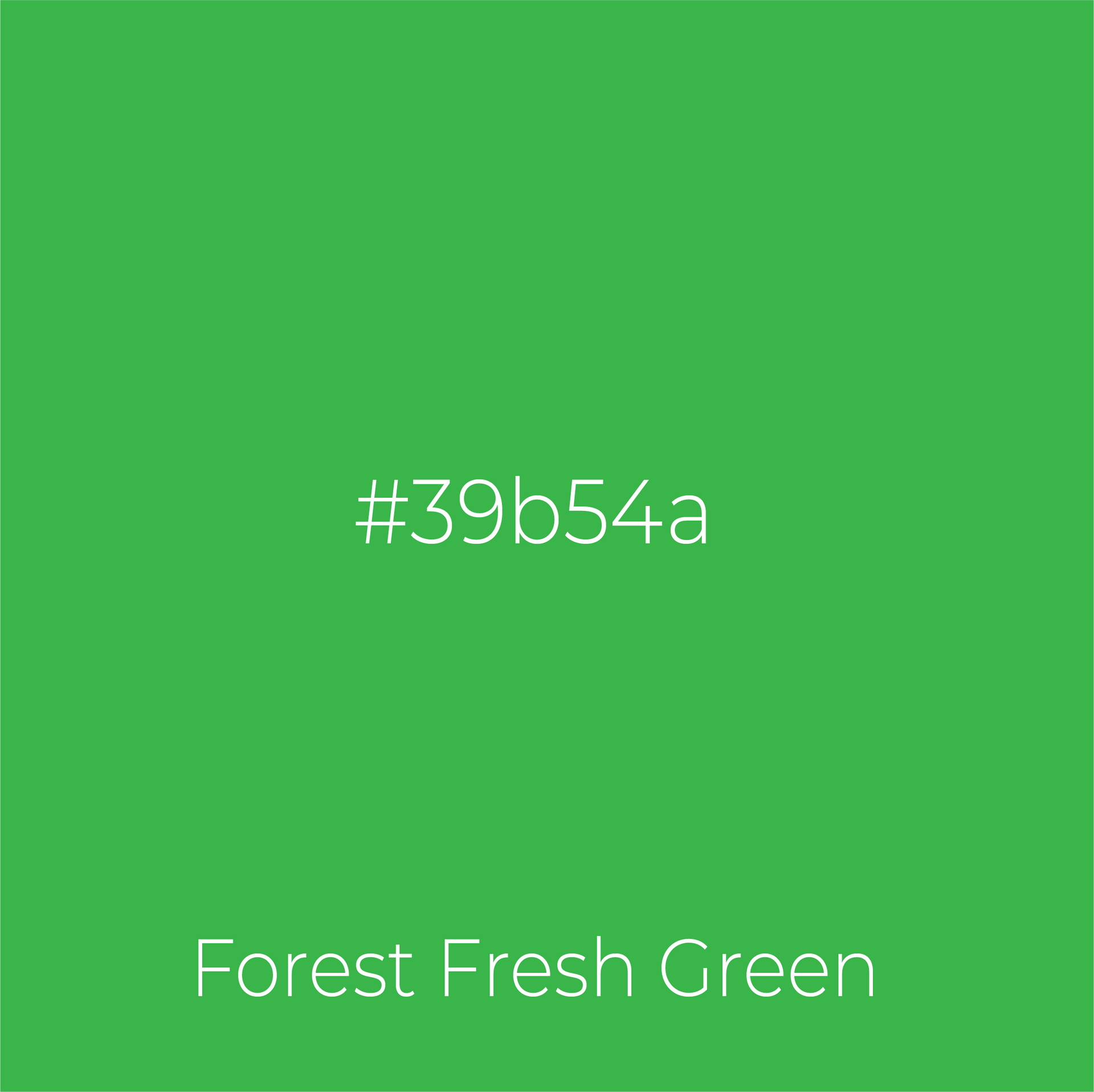 A green background with the words forest fresh green on it