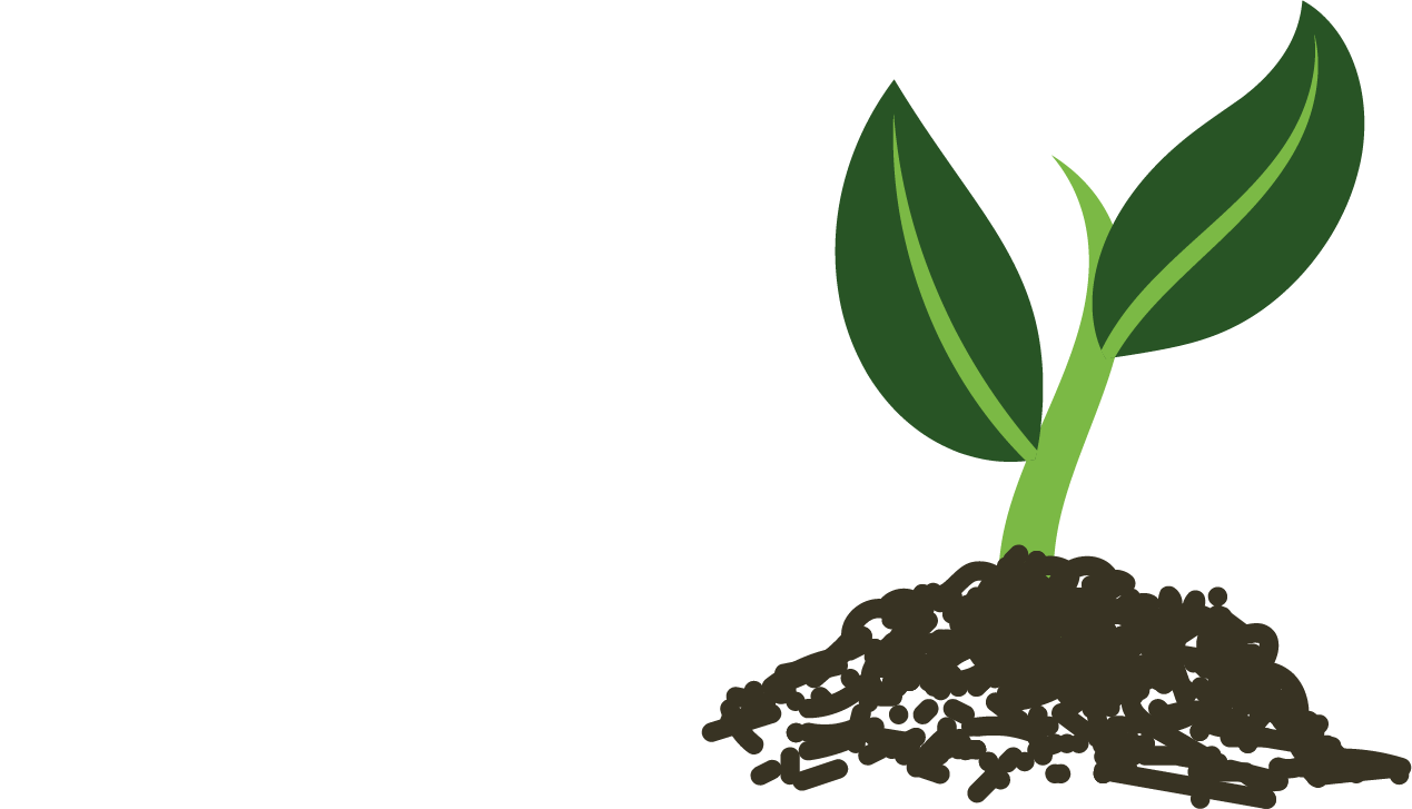 A small plant is growing out of a pile of dirt.