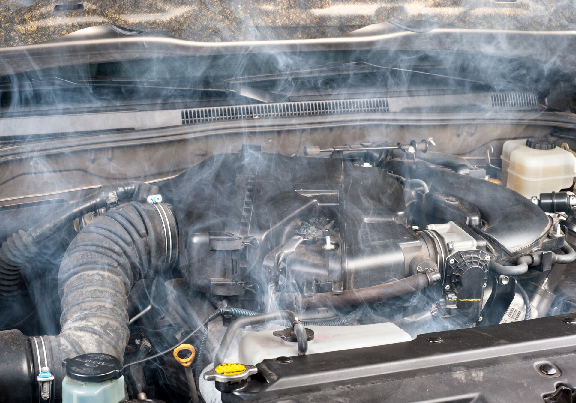 BMW Oil Leak Repair | Rolf's Import Auto Service