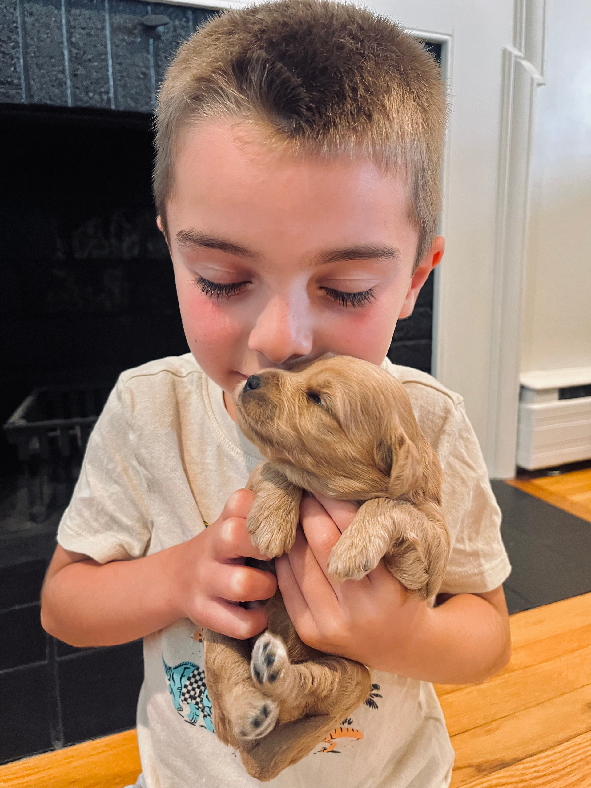 A young boy is holding a puppy in his arms.