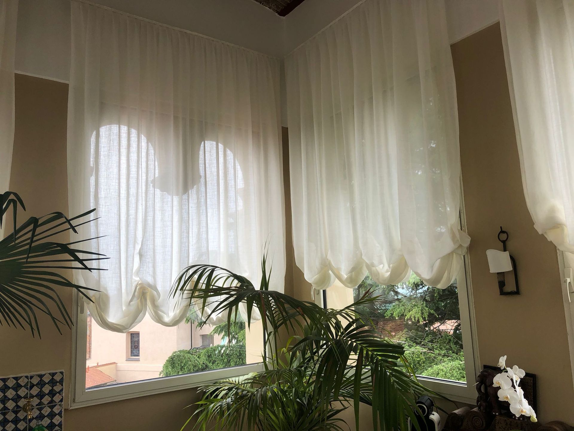 In una stanza con pareti chiare e una pianta d'appartamento verde, delle tende a pacchetto bianche e trasparenti coprono le finestre ad arco.