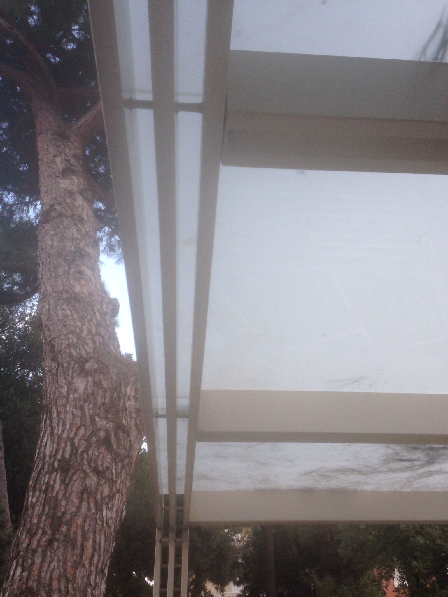 Una vista dal basso di una struttura traslucida per il tetto di un patio, accanto a un tronco d'albero dalla superficie ruvida, sullo sfondo di un cielo luminoso.