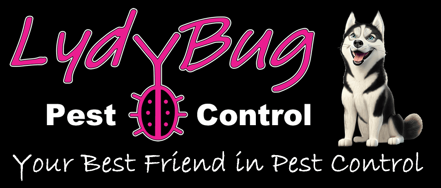 LydyBug Pest Control