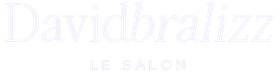 Logo Davidbralizz LE SALON en texte blanc sur fond blanc.