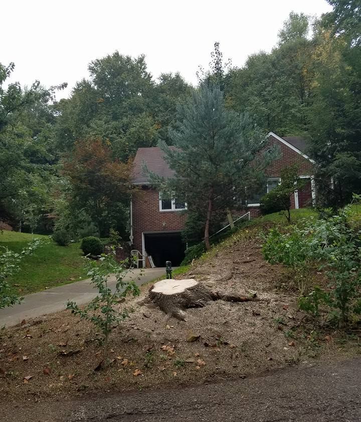 A brick house nestled in trees with a driveway. A tree stump sits in the foreground.
