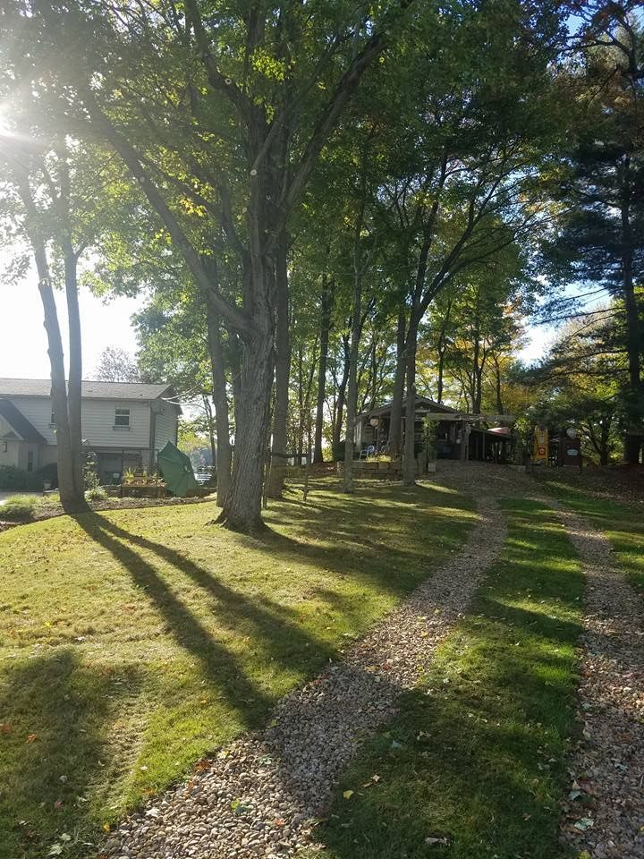 Sunlight streams through trees onto a grassy yard with a stone path. Buildings are visible in the background.