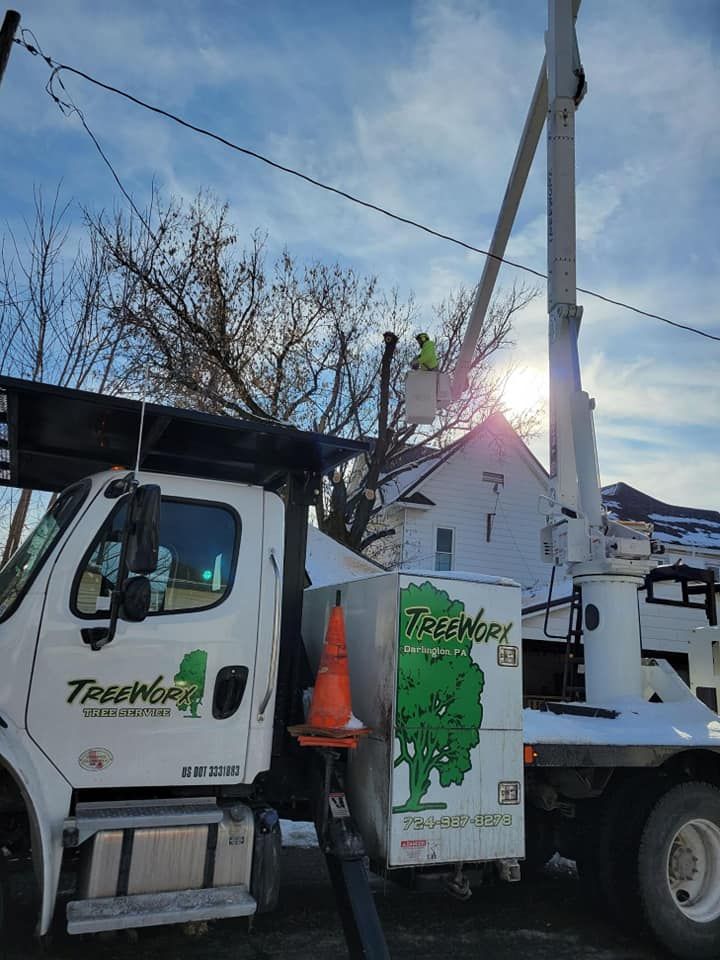 A tree service truck with a lifted boom, a worker in a bucket trimming trees near power lines. The sun shines brightly behind a house.