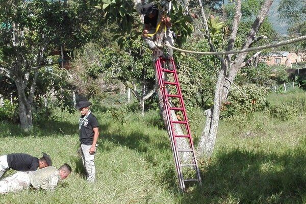 Colegio Militar Simón Bolívar