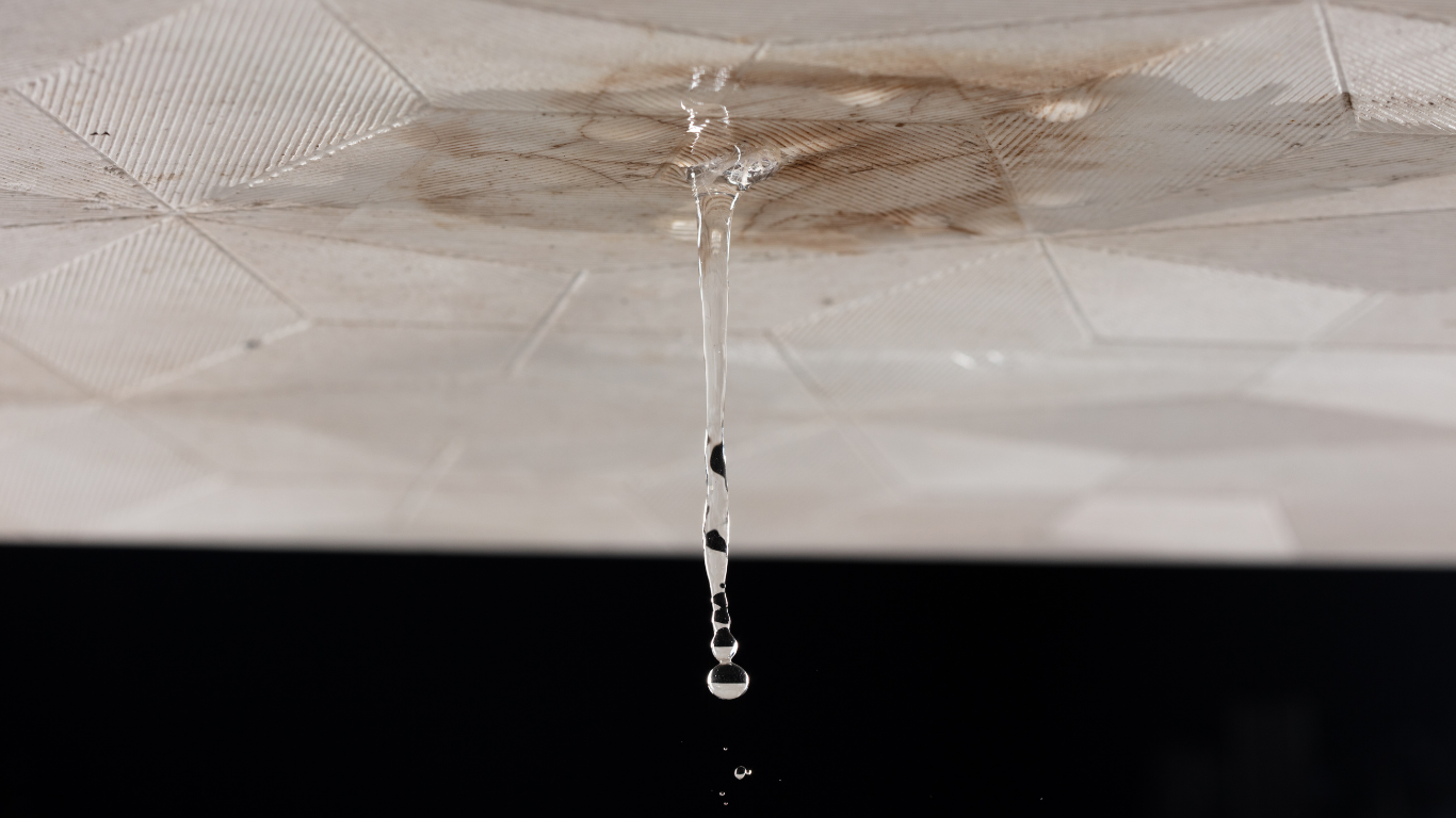 Water dripping from a stained ceiling.