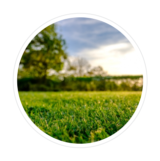 A circle with a picture of a lush green field with trees in the background.