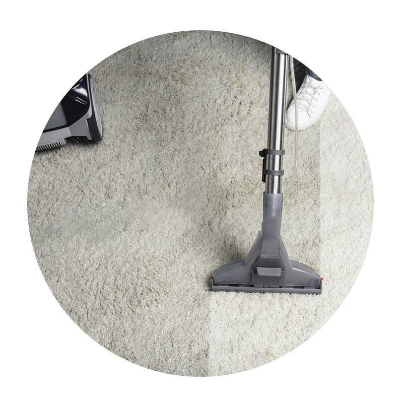 A person is using a vacuum cleaner to clean a carpet.