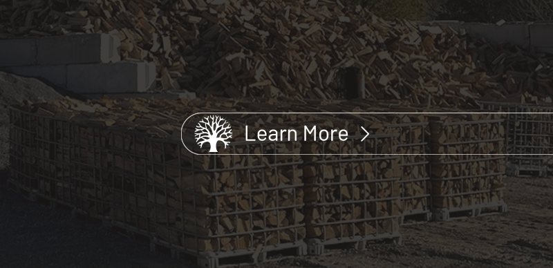 A tree and a pile of bricks are on a dark background.