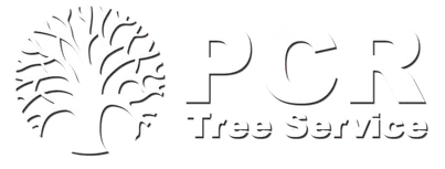 A black and white logo for pcr tree service with a tree in the middle.