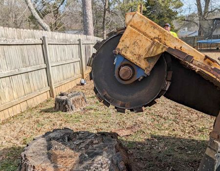 A stump grinder is cutting a tree stump in a yard.