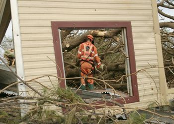 A stump grinder is cutting a tree stump in a yard.
