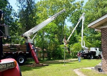 A stump grinder is cutting a tree stump in a yard.