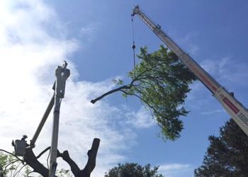 A truck with a crane on top of it is working on a power line.
