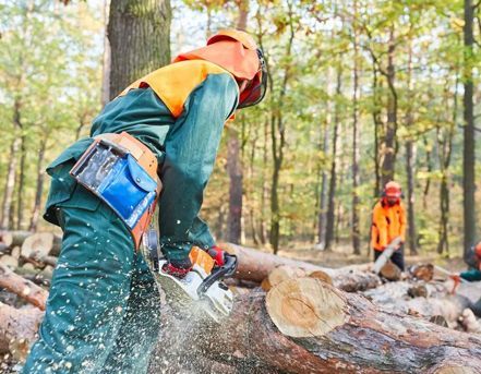Lumberjack in green overalls and safety gear cutting down a tree with a chainsaw in a forest.