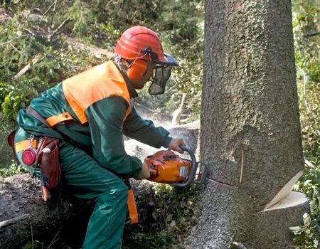Lumberjack in green jumpsuit and orange vest, sawing a tree trunk with chainsaw in outdoor setting.