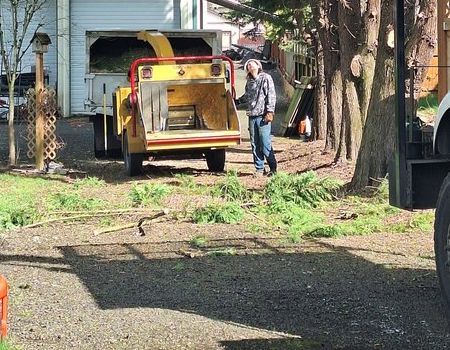 Man standing near wood chipper in a yard. Green branches and a yellow truck are visible.