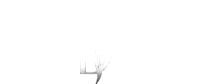 A drawing of a bird flying in the air on a white background.