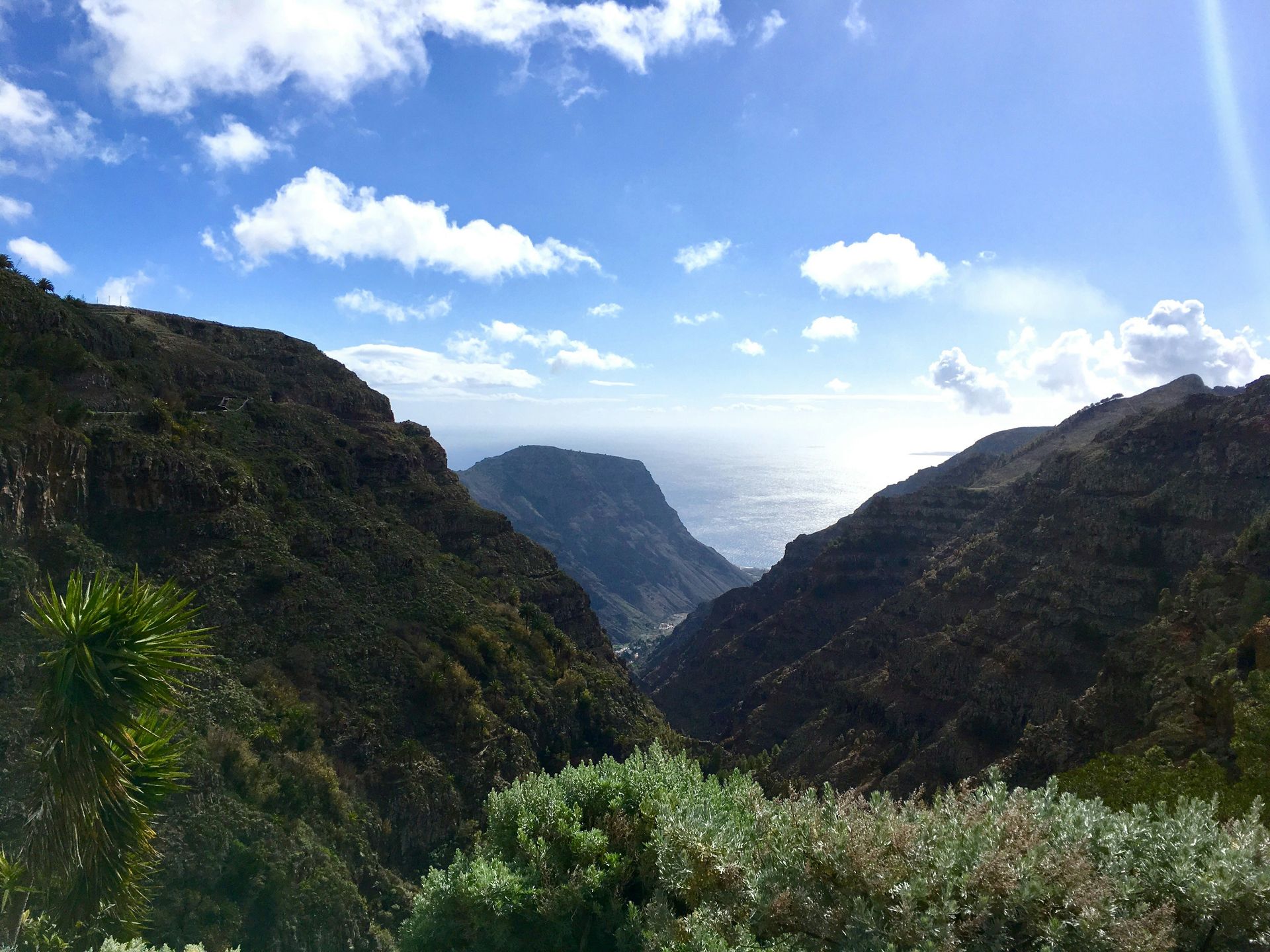 Canary Islands Explorer