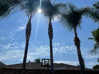 The sun is shining through the palm trees in front of a house.