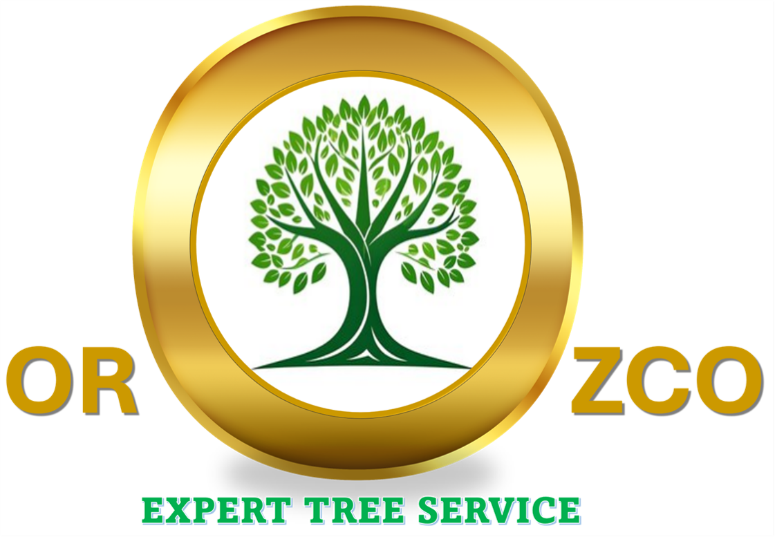 OROZCO'S EXPERT TREE SERVICE