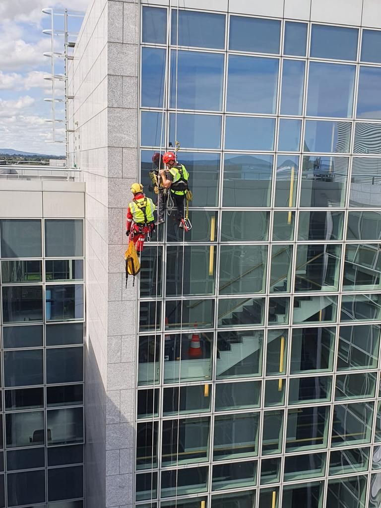A group of men are cleaning the windows of a building