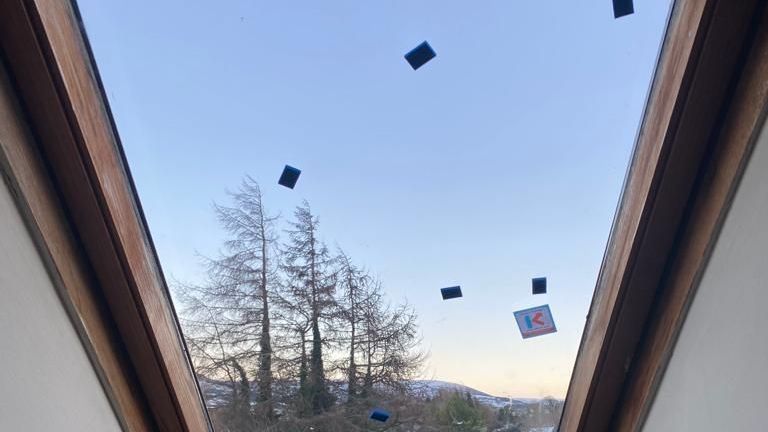 A view of the sky through a skylight with trees in the background.