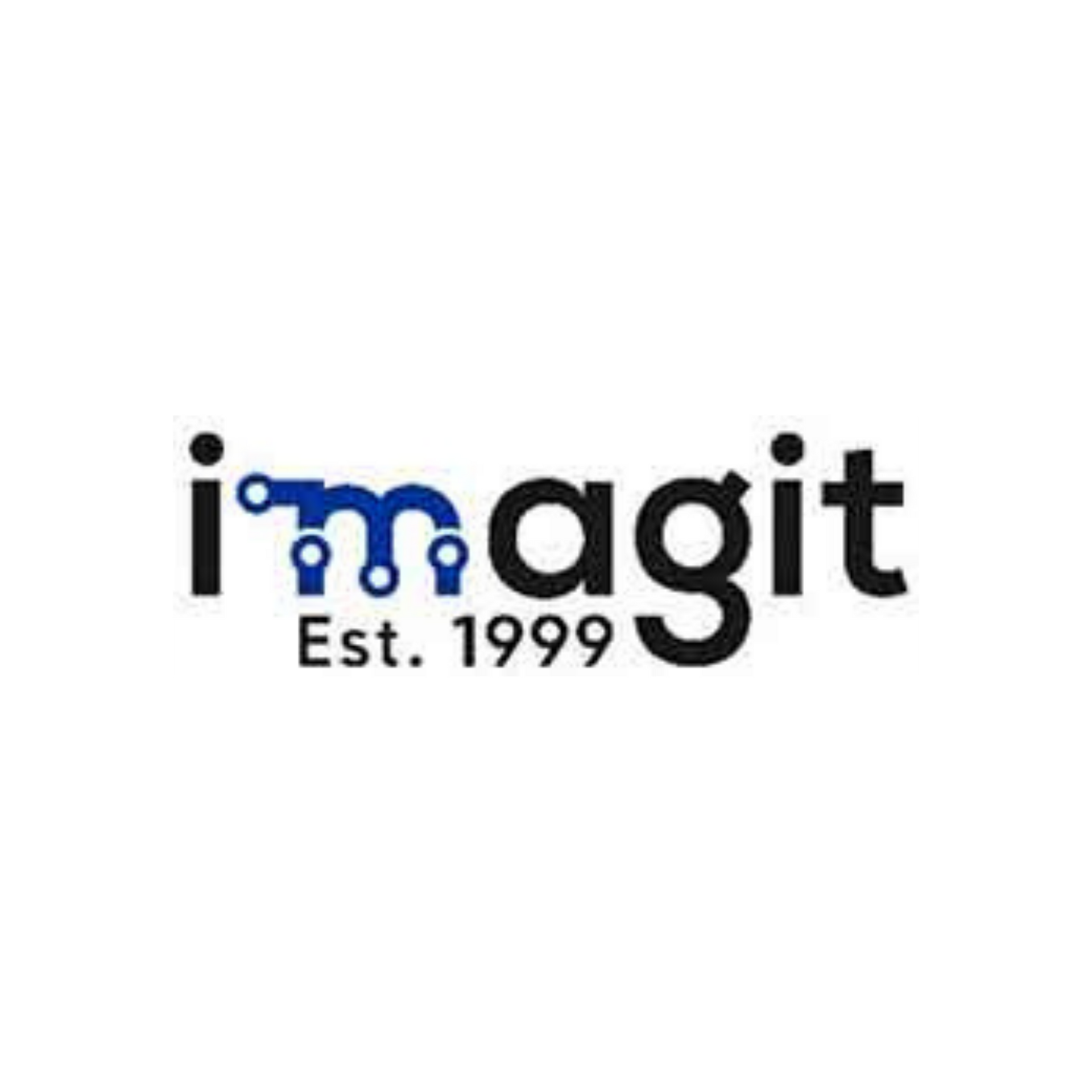 Imagit logo in black and blue with “Est. 1999” beneath it